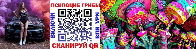 где продают   Нязепетровск  Галлюциногенные грибы мицелий 